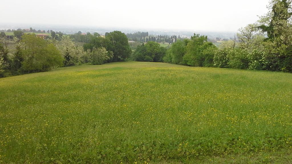 Agriturismo Montevecchio Isolani Monte San Pietro Exterior foto