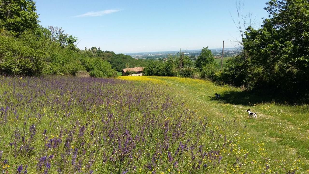 Agriturismo Montevecchio Isolani Monte San Pietro Exterior foto